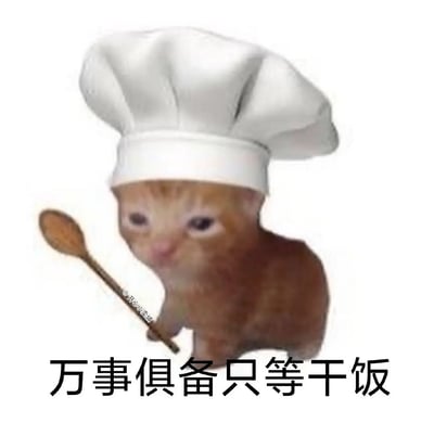 这是一张网络梗图，画面主体是一个带着大厨师帽、拿着木勺的拟人化动物（常见于猫、狗等表情包，具体动物不明），下方配有大字“万事俱备只等干饭”。整个场景充满等待吃饭、兴奋搞笑的氛围，非常适合拿来表达对美食的期待或者形容某个场合一切准备就绪只差关键一步。“干饭”是网络热词，意指“吃饭”的意思，画面与文字结合带有明显的网络幽默梗味。

没有出现明显的谐音梗或双关，但“干饭”本身属于谐音网络用词，带有轻松娱乐氛围。