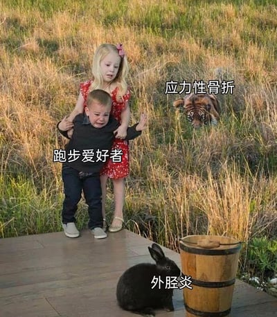 图片通过合成手法将不同元素组合，以幽默方式表现跑步相关伤痛：前景中穿红裙的金发女孩正搀扶着哭泣的黑衣小男孩（标注"跑步爱好者"），背景草丛里隐藏着老虎头（标注"应力性骨折"），右下角黑兔子旁放着木桶（标注"外胫炎"，利用"兔"与"胫"的谐音梗）。画面整体呈现出一种荒诞又有趣的视觉效果。