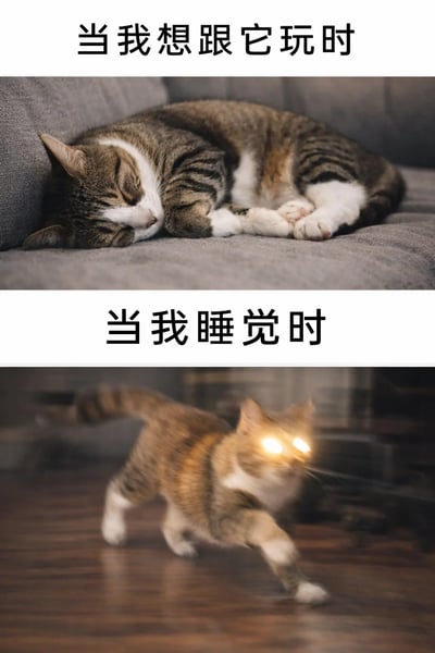 这是一张上下分栏的对比式梗图，上半部分配文“当我想跟它玩时”，画面呈现一只狸花加白猫咪蜷缩在灰色沙发上，双眼紧闭，姿态放松地熟睡，完全无视主人想要互动的需求；下半部分配文“当我睡觉时”，画面中的同一只猫咪被添加了眼部发光特效，正以模糊的动作在地板上快速奔跑，状态亢奋十足。图片通过强烈的场景反差，精准还原了养猫人普遍遭遇的无奈日常——猫咪的作息永远与主人完美错开，生动戳中了铲屎官们的共鸣点。