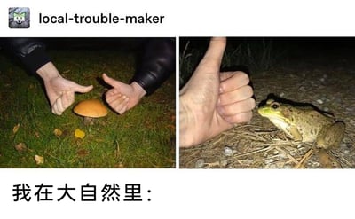 这是一张左右分栏的图文梗图，底部配有中文文案“我在大自然里：”。左图场景为夜晚的草地，一双手做出类似搭框架的手势，将中间的小蘑菇框在其中，营造出和蘑菇互动的趣味氛围；右图场景是夜晚的泥土地面，一只手竖起大拇指做出点赞动作，旁边的青蛙正看向镜头，仿佛在回应这个点赞，整体画面充满了童趣感。这组图通过拟人化的互动方式，生动展现了人们在接触大自然时，会以幼稚又有趣的方式和自然中的小事物进行“社交”的状态，传递出轻松搞笑、治愈的氛围，引发观者共鸣。