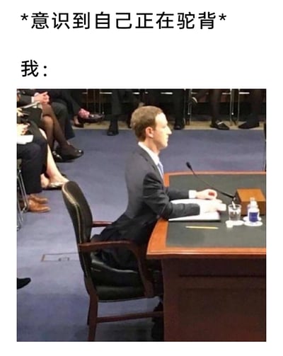 这是一张引发大众共鸣的搞笑梗图，通过图文结合的方式呈现日常场景：当人们突然意识到自己处于驼背状态时，会下意识地用夸张的姿势来纠正坐姿。图中上方文字标注“*意识到自己正在驼背*”，下方以“我：”引出马克·扎克伯格在国会听证会上的照片，照片里的他身体极度挺直，后背完全离开椅背，姿态僵硬又夸张，精准还原了人们刻意纠正驼背时的过度反应，用真实名人的场景调侃日常小细节，充满趣味，容易让有类似经历的人产生共鸣。