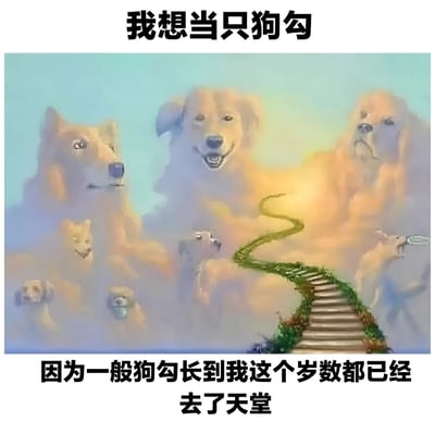 图片上方有黑色文字“我想当只狗勾”，中间是一幅风格化插画：多只狗的头部轮廓由云朵构成，背景是浅蓝色到金黄色渐变的天空，一条蜿蜒的绿色阶梯小路通向远处的金色光芒，营造出“天堂”的意境。下方文字为“因为一般狗勾长到我这个岁数都已经去了天堂”。整体通过将狗狗“去天堂”的说法与人类生活压力结合，形成一种黑色幽默的自嘲，暗示想通过这种方式逃避现实烦恼。