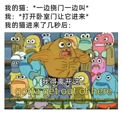 这是一张搞笑宠物梗图，上方文字描述了典型的猫咪行为：猫咪一边挠门一边叫，主人打开卧室门让它进来，结果几秒后猫咪就想离开。下方配图是《海绵宝宝》动画中的经典场景，一只棕色肌肉鱼表情惊恐地大喊"我得离开这"，完美诠释了猫咪反复无常的性格特点，幽默地展现了宠物主人的无奈与好笑经历。