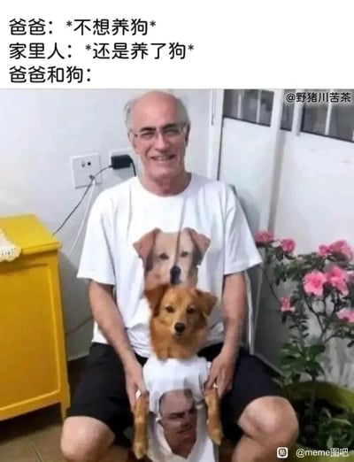 这是一张充满趣味反差的搞笑梗图，上方通过三段文字构建剧情：先是老爸表示“不想养狗”，接着家里人坚持“还是养了狗”，最后用“爸爸和狗：”引出下方的实拍画面。画面中，原本抗拒养狗的老爸面带开心的笑容坐在椅子上，他穿着印有狗狗头像的白色T恤；而狗狗则被精心打扮，穿上了印有老爸头像的衣服，视觉上制造出两人“互换上衣”的错位效果，生动展现出老爸从反对养宠物到和狗狗亲密无间的巨大态度反转，幽默还原了很多家庭里长辈对宠物态度转变的真实场景，充满温馨又搞笑的氛围。