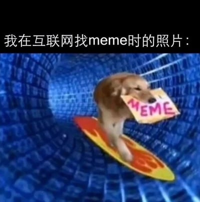这是一张经过P图改编的文字加注静态图，图片上方配有中文文字“我在互联网找meme时的照片：”，图中主体是一只金毛犬站在橙黄配色的冲浪板上，身处类似蓝色隧道的空间中，狗狗嘴里叼着一块写有英文“MEME”的牌子。整张图用冲浪的狗狗来比喻人们在互联网上寻找meme梗图时的状态，仿佛在海量的网络信息隧道里“冲浪”，生动又幽默地表现出人们沉浸于搜寻有趣梗图的样子，没有双关、谐音梗等特殊内容。