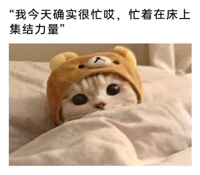 这是一张趣味表情包，画面主体是一只戴着棕色小熊造型帽子的白色猫咪，它裹在浅色被子里，只露出圆睁大眼睛的脑袋，眼神无辜软萌。图片上方配有文字“我今天确实很忙哎，忙着在床上集结力量”，用幽默的话术将赖床休息调侃为“集结力量”，搭配猫咪软萌的形象，营造出轻松搞笑的氛围，精准表达了不想工作、只想休息摸鱼的心情，很适合在社交场景中用来回应他人对自己状态的询问。
