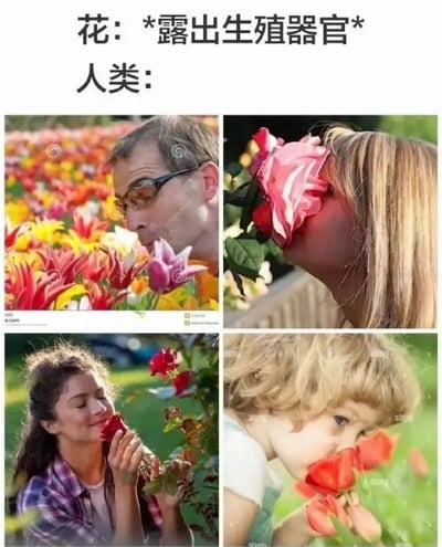 这是一张趣味梗图，采用顶配底文加四图拼接的形式，顶部文字首先点明植物学常识：花的结构本质上是植物的生殖器官，随后下方拼接了四张实拍照片，分别是不同年龄、性别的普通人凑近嗅闻鲜花的场景，通过将客观冷知识和人们习以为常的闻花行为放在一起制造反差感，达成幽默搞笑的效果，属于冷知识类玩梗内容。