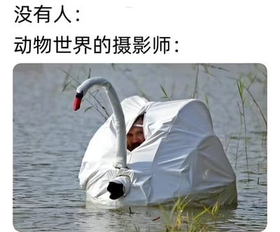 图片采用上下结构的图文混排形式，上方文字分为两行：第一行“没有人：”，第二行“动物世界的摄影师：”。下方主体为一张实拍照片，画面中一名摄影师穿着白色天鹅造型的伪装服，身体浸在水中，仅头部从服装开口处露出，天鹅的长脖子和红色喙部向上弯曲，背景是平静的水面和稀疏的芦苇。通过“没有人”与“动物世界摄影师”的对比句式，幽默展现了野生动物摄影师为接近拍摄对象所采用的夸张伪装方式，突出其工作的特殊性和趣味性。