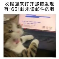 这是一张经过P图改编的职场类表情包，以知名的惊讶猫（OMG猫）为主体，搭配电脑界面背景，上方配文「收假回来打开邮箱发现有1651封未读邮件的我」。猫咪大张嘴巴、眼神震惊的夸张表情，精准放大了打工人假期结束返工后，面对大量堆积工作时的崩溃、错愕与无奈，十分贴合职场人的真实心境，充满搞笑与共鸣感。