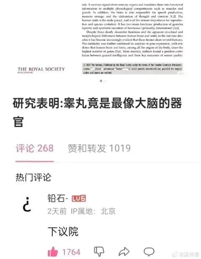 这是一张竖屏的微博社交媒体截图，上方是英国皇家学会2021年发布的学术论文片段，论文内容显示研究发现人类睾丸与大脑在人体所有器官中拥有最多的共同蛋白质，是最像大脑的器官；下方是该内容的微博评论区，显示有268条评论、1019次赞和转发，热门评论为IP属地北京的用户“铅石-”留下的“下议院”，该评论是谐音梗，“下议院”谐音“下睾丸”，用文字梗玩梗，获得了1764个点赞。