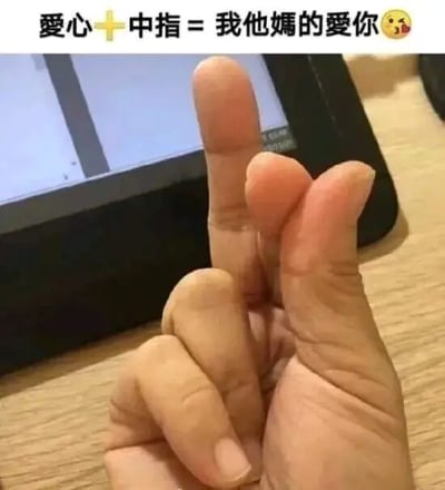 图片上方有文字“爱心+中指=我他妈的爱你😘”，下方主体为一只真人的手，拇指与中指弯曲形成类似爱心的形状，同时中指突出。整体通过将代表爱意的爱心手势与具有冒犯意味的中指结合，用粗俗又戏谑的方式表达“爱你”的情感，带有强烈的网络幽默和玩梗性质。