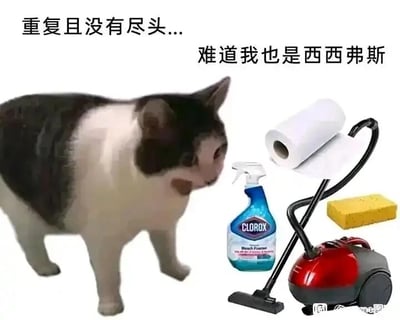 暂无描述
