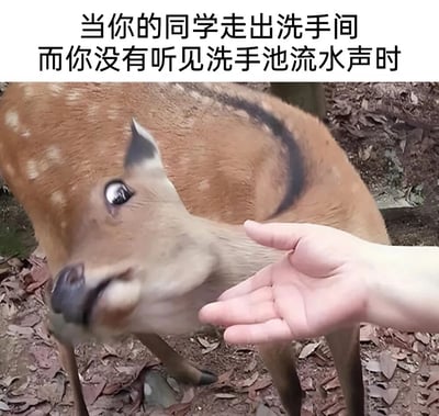 这是一张经过人脸合成改编的搞笑静态表情包，图片上方配有文字“当你的同学走出洗手间而你没有听见洗手池流水声时”，画面主体是一只被P上人类嫌弃疑惑表情的小鹿，它眉头紧皱、面部扭曲，正歪斜着脑袋凑近画面右侧伸出的手掌，生动且夸张地还原了现实中发现同学上完厕所没洗手时，那种内心充满嫌弃、疑惑又有点震惊的微妙情绪，用拟人化的动物表情放大了日常社交里的小尴尬，十分贴合校园或日常社交场景的趣味吐槽。