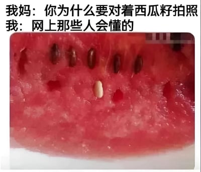 图片上方为两行对话文字：“我妈：你为什么要对着西瓜籽拍照 我：网上那些人会懂的”，下方是一块西瓜切片的特写照片，红色瓜瓤中分布着多颗深色西瓜籽，其中有一颗浅色的籽较为显眼，成为拍照的焦点。整体展现了年轻人因关注细微事物（特殊西瓜籽）而被长辈误解的日常场景，体现了网络文化语境下的代际认知差异与共鸣。