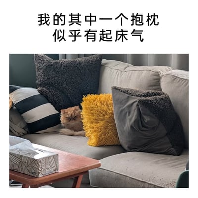 这是一张充满趣味的生活实拍图，浅灰色的L型沙发上摆放着黑白条纹、深灰毛绒、黄色长毛等多款风格各异的抱枕，一只浅棕色的猫咪趴在抱枕之间，它眉头紧皱、表情不悦的模样，搭配顶部配文‘我的其中一个抱枕似乎有起床气’，巧妙地将猫咪伪装成闹情绪的抱枕，制造出有趣的视觉错觉，画面既充满生活烟火气，又凭借萌宠的可爱表情和趣味创意带来十足的笑点。