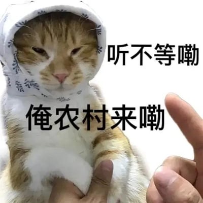 图片中是一只橘白相间的猫咪，佩戴着带有灰色花纹的连帽衣物，眼神平静略带慵懒。猫咪被人用手抱着，下方有文字“俺农村来嘞”，右侧上方有文字“听不等嘞”，均为口语化的方言表达。右下角有一只竖起拇指的人手，似乎在强调猫咪的“自我介绍”。背景为纯白色，突出主体。整体通过猫咪的淡定表情与活泼的方言文字形成反差，营造出幽默接地气的效果。