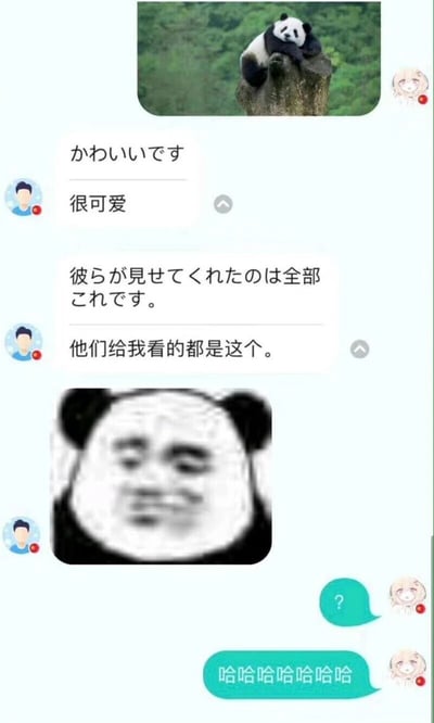 这是一张社交媒体聊天记录截图，对话双方采用中日双语进行交流。首先是金发头像的用户发送了一张趴在树桩上的真实可爱熊猫图片，随后蓝发头像的用户用日语“かわいいです”和中文“很可爱”表达对这张熊猫图的喜爱，接着又用日语“彼らが見せてくれたのは全部これです。”和中文“他们给我看的都是这个。”进行表述，紧接着发送了一张将人脸与熊猫形象拼接的搞怪熊猫头表情包。金发头像的用户先是发送问号“?”表示疑惑，随后发送一串“哈哈哈哈哈哈哈”，以此表达对真实熊猫图和搞怪熊猫表情包之间反差的好笑反应，整个对话通过两种熊猫形象的强烈反差制造出趣味效果。
