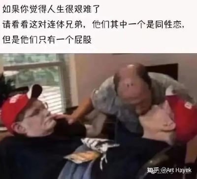 这是一张利用视觉错位效果制作的搞笑梗图，上方配有文字：“如果你觉得人生很艰难了，请看看这对连体兄弟，他们其中一个是同性恋，但是他们只有一个屁股”。下方的实际画面是两个真实男子，一个坐在轮椅上，另一个站在他身后，由于拍摄角度的巧合，两人看起来像是共享身体的连体人，和上方文字描述的离谱设定形成荒诞反差。

这张图用夸张、戏谑的方式，虚构一个“更艰难”的处境，来调侃和安慰那些觉得人生不顺的人，通过错位视觉和离谱文字的结合制造幽默效果，没有双关、谐音梗等内容。