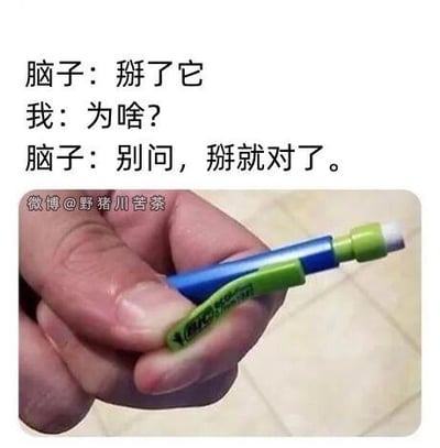 这是一张图文结合的搞笑梗图，上方用文字模拟了「脑子」与「我」的对话：
- 脑子：掰了它
- 我：为啥？
- 脑子：别问，掰就对了。
下方是一只手握着一支蓝绿配色的笔，手指的姿势仿佛要将笔的绿色握柄部分掰断，而实际上这个部分是笔的正常组成结构，毫无掰断的必要。这张图精准戳中了人们偶尔会毫无缘由产生破坏身边小物件的奇怪念头的日常迷惑行为，用幽默的方式展现了这种无厘头的内心戏。
