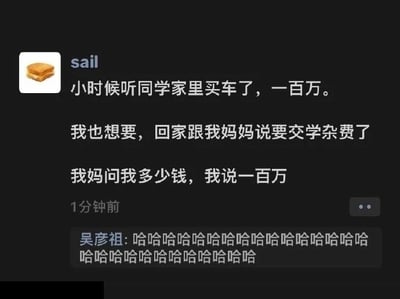 这是一张社交媒体（推测为微信朋友圈）的静态截图，用户“sail”以面包为头像，分享了自己童年的一件天真搞笑的趣事：小时候听闻同学家里购置了价值一百万的车，心生向往的他，便谎称要交学杂费向妈妈要钱，当妈妈询问具体金额时，他直接说出了一百万。下方名为“吴彦祖”的用户留下了一长串“哈哈哈哈”的评论，用夸张的方式表达了对这件趣事的爆笑反应，整个内容充满了童年的天真无邪，笑点在于孩子直白又天真的想法，把想要豪车的念头直接转化为要一百万的学杂费，毫无掩饰的天真让人忍俊不禁。