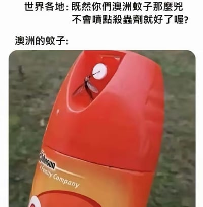 本图是一张幽默表情包，画面中心是一只蚊子停留在杀虫剂喷雾瓶的喷头处。上方配文以对话形式调侃澳大利亚的蚊子十分强悍，暗示即使用杀虫剂也对它们无效，把蚊子与人类对峙的场景夸张化，反映出网友对澳洲生态现象的戏谑态度。