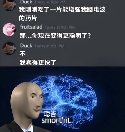 图片上半部分是一段聊天记录截图，用户Duck称自己吃了一片能增强脑电波的药片，另一位用户fruitsalad问是否变得更聪明了，Duck回答"不 我蠢得更快了"。下半部分是一张配有文字"聪否 smort'nt"的图片，画面中有一个抽象的人形头部，后方有蓝色的神经网络可视化效果。这里使用了谐音和文字游戏，"聪否"是"聪明与否"的缩写，而"smort'nt"是"smart"(聪明)和"not"(不)的结合，形成幽默效果。