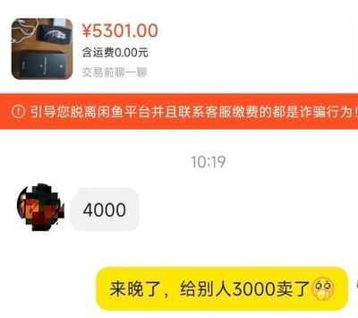 图片展示了二手交易平台的交易界面与聊天记录。上方为商品交易信息，显示价格¥5301.00含运费0元，并有橙色警告横幅提示“引导您脱离闲鱼平台并且联系客服缴费的都是诈骗行为！”。下方是聊天界面，时间10:19，买家发送“4000”表示出价，卖家以黄色气泡回复“来晚了，给别人3000卖了😣”，带有遗憾的表情，呈现出砍价未果、商品已低价售出的场景。