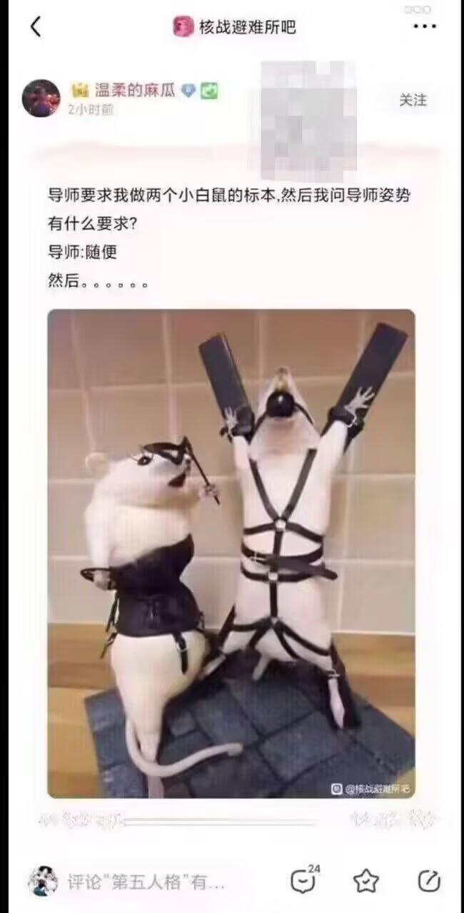 原创创意标本