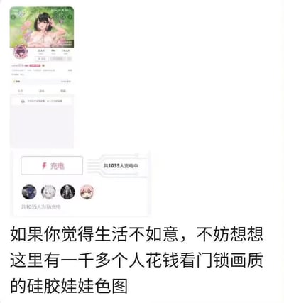 这是一张用于自我安慰的吐槽类梗图，上方截取了哔哩哔哩平台某UP主的充电界面，显示有1035人为该UP主充电打赏，该UP主的内容被调侃为“门锁画质”（即画质模糊低劣，类似门锁摄像头的画质），且内容是“硅胶娃娃色图”；下方配文“如果你觉得生活不如意，不妨想想这里有一千多个人花钱看门锁画质的硅胶娃娃色图”，通过调侃他人“为低质量内容付费”的行为，以自嘲式的幽默消解生活不顺带来的负面情绪，给人一种“有人比我更‘离谱’”的安慰感。