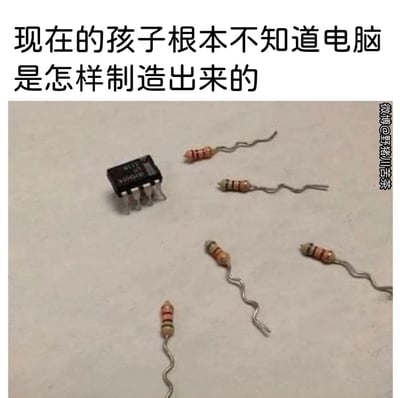 这是一张搞笑玩梗的图文梗图，上方配文“现在的孩子根本不知道电脑是怎样制造出来的”，下方是一个黑色集成芯片，周围围绕着五个被弯折成蝌蚪形状的电阻，模仿“小蝌蚪找妈妈”的经典画面，玩了一个谐音和视觉梗：将电子元件“电阻”和电脑的“组成”关联，用趣味化的方式调侃现在的孩子不了解电脑的硬件构成，营造出“电脑是由这些‘电阻小蝌蚪’组成的”搞笑效果，实际上是对电脑制造的夸张化玩笑演绎。