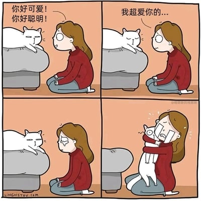 这是一幅四格连环卡通漫画，描绘了一位红衣服女生与白色猫咪的互动：第一格中女生跪坐在沙发前，笑着夸赞猫咪“你好可爱！你好聪明！”，猫咪一脸冷漠地趴在沙发扶手上；第二格女生语气转为伤感，轻声说“我超爱你的...”；第三格女生开始流泪，猫咪依旧保持冷漠的表情；第四格女生彻底崩溃大哭，将猫咪从沙发上抱过来紧紧搂住，猫咪则露出惊恐的表情，四肢悬空，显得十分抗拒。漫画生动展现了爱猫人士突然爆发的情绪，以及猫咪对人类情绪变化的反差反应，充满了养猫日常的真实感与趣味性。