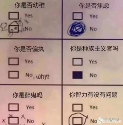 这是一张由六个小测试项组成的趣味自我测试梗图，每个测试项的选项填写方式都和测试内容形成反差，制造幽默效果：
1. “你是否幼稚”：选择了No，但将No的选项框画成小房子并添加幼稚涂鸦，反而表现出幼稚的特质；
2. “你是否焦虑”：选择了No，但将No的选项框涂成一团杂乱的黑块，这种烦躁的涂法恰恰体现出焦虑的状态；
3. “你是否偏执”：No的选项框后被加上了“why?”，这种对“是否偏执”的追问，显得测试者本身带有偏执的特质；
4. “你是种族主义者吗”：正常选择了No，选项框被涂黑；
5. “你是醉鬼吗”：No的选项框被画得歪歪扭扭，周围还打了叉，这种混乱的画法表现出测试者是醉鬼的状态；
6. “你智力有没有问题”：选择了No，但将No的选项框画得变形扭曲，这种混乱的选择方式反而暗示出智力可能存在问题。
整张图通过选项的特殊填写方式，用反差感制造出自我调侃的搞笑效果。