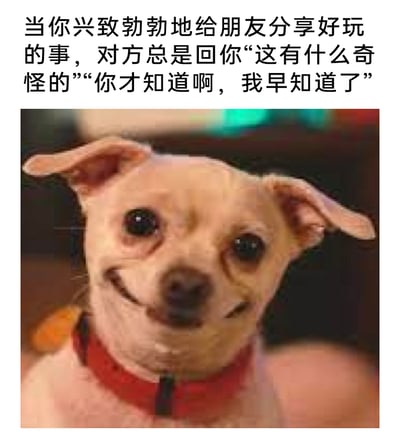 这是一张图文混排的吐槽类表情包，上方配文描述了日常社交中常见的尴尬场景：当自己满怀热情地和朋友分享有趣的见闻时，却接连收到对方“这有什么奇怪的”“你才知道啊，我早知道了”这类打击分享欲的回复。下方主体是一只被P图修改了面部的吉娃娃小狗，它的嘴角被刻意改成僵硬的上扬弧度，原本的狗狗眼神搭配这个违和的微笑，生动呈现出分享者在被泼冷水后，内心失落却又强行维持体面、装出不在意的尴尬与窘迫，完美贴合了遇到此类社交场景时的复杂心情，极易引发网友共鸣，适合在社交聊天中用来吐槽此类不愉快的社交经历。
