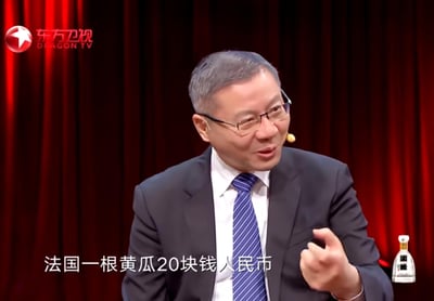 这是东方卫视政论节目《这就是中国》的截图，学者张维为身着西装、佩戴眼镜，正坐在红色幕布前发言，他提到「法国一根黄瓜20块钱人民币」，以此分享国外物价情况，画面左上角有东方卫视台标，右下角有国缘酒的品牌标识。