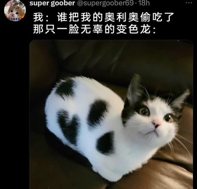 这是一张来自X（原Twitter）平台的原创搞笑梗图，用户@supergoober69发布了这张图并配上趣味文案：主人质问“谁把我的奥利奥偷吃了”，而图中的黑白猫咪，身上分布的黑色斑块形状恰好酷似奥利奥饼干，因此被调侃成是偷吃了奥利奥后“变色”伪装自己的变色龙。猫咪睁着圆溜溜的大眼睛，一脸无辜地抬头看向上方，趴在棕色皮质沙发上的模样，和它身上酷似奥利奥的花纹形成反差感，制造出猫咪偷吃后试图伪装却“暴露痕迹”的滑稽笑点，利用动物的天然外形巧合打造出趣味十足的创意梗。