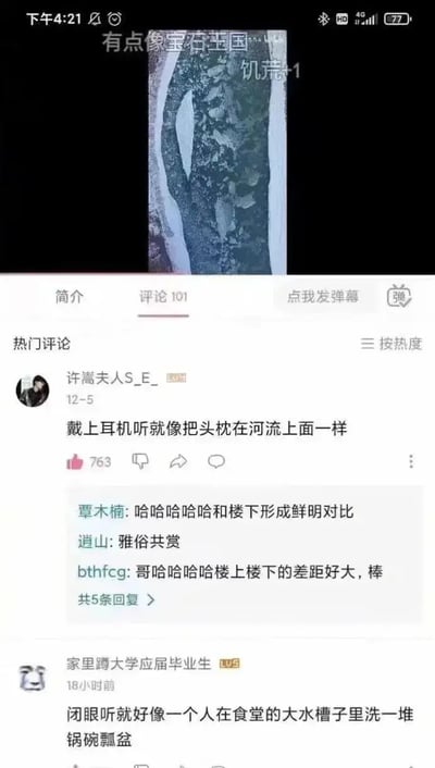 这张图片是一张短视频或音乐平台神评论的截图。画面上方是一个疑似树干或者抽象的水流照片，下方是弹幕和评论区。评论区最热的评论将听音乐比喻为“戴上耳机听就像把头枕在河流上”，下面又有人把“闭眼听”形容为在食堂水槽里洗碗漂盆。整体氛围幽默、抽象、颇有网友惯用的“生活幽默”神评论风格。没有明显谐音梗或隐喻，仅生活化夸张比喻。