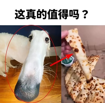 图片分为左右两部分，上方配有文字“这真的值得吗？”。左侧是一只白色狗狗，它的鼻子被夸张地拉长，眼睛瞪得很大，表情惊讶，鼻子部分被红色圆圈标注，背景是木地板和深色墙壁。右侧是一只手拿着一片披萨，披萨的边缘异常细长，旁边放着一小盒标有“garlic”的酱料，红色箭头指向这片超长的披萨边。整体通过对比狗狗被拉长的鼻子和披萨超长的边缘，以夸张的视觉效果引发“这样的夸张是否值得”的幽默疑问。
