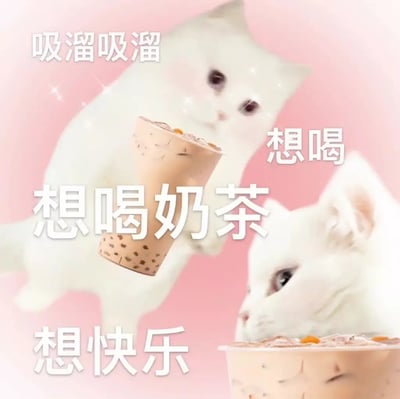 这张图片中出现了两只可爱的白色猫咪搭配奶茶，粉色的背景让人感到温馨治愈。画面上的文案“吸溜吸溜”、“想喝”、“想喝奶茶”、“想快乐”表达了人们对奶茶（快乐水）的渴望，用猫咪的呆萌表情代指人类，强化了这种想法的可爱和调侃意味。该图常被用来表达对奶茶、甜品等事物的强烈需求和渴望。

图片没有明显的双关或谐音梗，但用猫咪‘吸溜吸溜’喝奶茶的表现，形象化了“幸福”与“快乐”可以很简单并具象化为物质（奶茶）的幽默认知。

该梗在网络十分流行，容易出现在社交媒体或奶茶相关讨论中。