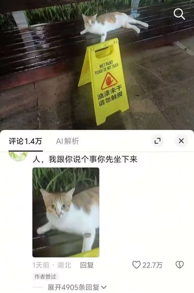这张图是网络搞笑梗图，由两部分拼接而成：上半部分为户外实拍场景，一张刚刷完油漆的深色长椅旁，立着一块黄底的警示标识牌，上面用中英文标注“WET PAINT PLEASE DO NOT TOUCH 油漆未干 请勿触摸”，一只橘白花色的猫咪正放松地趴在长椅上，前爪甚至垂到了警示牌附近；下半部分是国内社交平台的评论区截图，一条获赞22.7万的高赞评论配文“人，我跟你说个事你先坐下来”，还附上了这只猫咪的近距离特写，猫咪睁着圆溜溜的眼睛，神态懵懂，暗指这只猫大概率已经沾到了未干的油漆，同时调侃其他看到图的人如果贸然坐这个长椅也会中招，反差感拉满，十分搞笑。