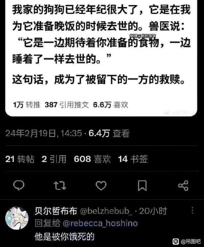 一张社交媒体截图，内容是关于一只老年狗狗在主人准备晚餐时离世的感人故事，兽医称狗狗是“一边期待着食物一边睡着一样去世的”，下方有一条反转评论：“他是被你饿死的”，形成强烈的幽默反差。