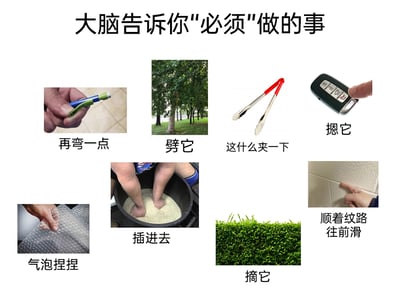 这是一张横版的多图拼接趣味图文，主题为“大脑告诉你‘必须’做的事”，共展示了8种能触发人类本能冲动的日常场景：1.手持一支可弯折的笔，配文“再弯一点”，对应看到易弯折物品想掰弯的本能；2.户外的一棵笔直大树，配文“劈它”，对应想破坏规整高大物体的猎奇心理；3.一把红柄金属夹子，配文“这什么夹一下”，对应想用夹子夹取物品的冲动；4.汽车遥控钥匙，配文“摁它”，对应想按动按键的本能；5.气泡包装膜，配文“气泡捏捏”，对应捏破气泡膜解压的常见行为；6.双脚插进装满米的容器中，配文“插进去”，对应想将肢体埋进颗粒状物体的触感冲动；7.一片修剪整齐的绿篱，配文“摘它”，对应想破坏整齐事物的心理；8.带有纹路的瓷砖墙面，配文“顺着纹路往前滑”，对应想用手指顺着纹路滑动的本能。这些场景均来自日常生活，内容贴近大众，容易引发观者的共鸣，展现了人类那些难以克制的小冲动。
