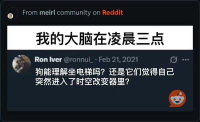 这张梗图通过在Reddit社区的用户帖子截图上方添加中文标题“我的大脑在凌晨三点”，调侃人们在深夜时容易冒出各种无厘头的奇怪想法。帖子内容是提问“狗能理解坐电梯吗？还是它们觉得自己突然进入了时空改变器里？”，用拟人化的脑洞猜测狗狗坐电梯时的想法，十分搞笑有趣，精准戳中很多人深夜思维发散、想些莫名其妙问题的状态。