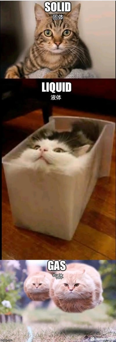 这是一张竖屏拼接的趣味meme图，通过三只不同状态的猫来对应物理学中的三种物态：最上方的虎斑猫保持固定形态趴在平面上，搭配文字“SOLID 固体”；中间的白灰猫完全填满方形盒子，身体贴合容器轮廓，呼应“猫是液体”的流行梗，搭配文字“LIQUID 液体”；最下方是两个被处理成类似气泡形态、漂浮在空中的橘色胖猫，搭配文字“GAS 气体”。整张图用夸张幽默的方式将猫的身体特性与物态结合，制造出诙谐的效果。