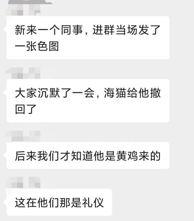 这是一段搞笑的聊天记录段子，内容讲述：新来的同事刚进群就发了一张色图，在场的人都沉默了，之后被海猫撤回；后续大家才得知这个同事来自“黄鸡”群体，发这类图在他们的群体里是一种礼仪。这段内容通过虚构的特殊群体礼仪制造荒诞搞笑的效果，用来调侃职场新人的尴尬趣事。
没有双关、谐音梗或暗示内容。
