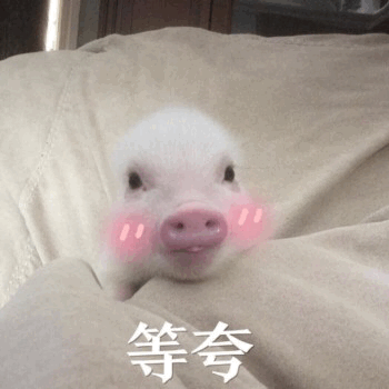 一只白色的小猪趴在米色的柔软毯子上，鼻子粉嫩，脸颊被编辑上了可爱的粉色腮红，睁着大大的眼睛抬头望向前方，显得十分乖巧。图片下方有白色文字“等夸”，整体营造出一种期待被夸奖的萌系氛围。
