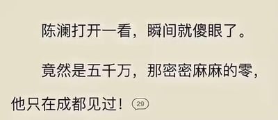 图片为纯文字内容，描述陈澜打开某物后看到五千万金额时的震惊反应，特别提到金额中密密麻麻的零“他只在成都见过”，文字下方有一个标注“29”的对话气泡图标。