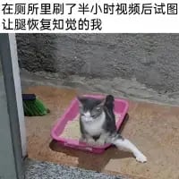 这张梗图以一只瘫在粉色猫砂盆里、一条后腿伸直的真实猫咪为画面主体，搭配上方文字“在厕所里刷了半小时视频后试图让腿恢复知觉的我”，用猫咪的状态生动比喻人长时间蹲在厕所刷手机后，腿麻到失去知觉、难以正常活动的模样，精准戳中了很多人的日常经历，充满搞笑与共鸣感。