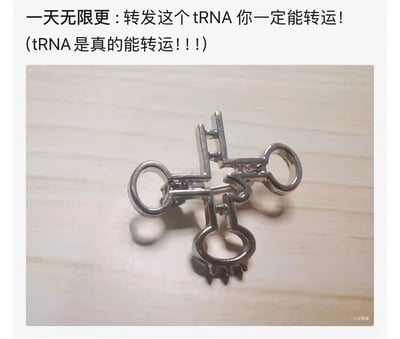 这是一张结合生物学知识的创意梗图，图片主体是一个银色金属制成的tRNA分子模型，呈现典型的三叶草结构。上方配有文字"一天无限更：转发这个tRNA你一定能转运！(tRNA是真的能转运！！！)"，利用了"转运"一词的双重含义——既指tRNA在生物学中的转运功能，又谐音中文"转运"（意为运气变好），形成科学梗与吉祥寓意的趣味结合。
