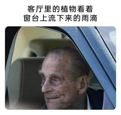 这是一张顶配底文的搞笑梗图，上方配有文字“客厅里的植物看着窗台上流下来的雨滴”，描述了一个极度平淡、无聊的日常场景；下方搭配英国菲利普亲王坐在车内的实拍照片，他的面部表情怪异，嘴角上扬、眼神带着戏谑感，两者结合形成强烈的荒诞反差，将原本毫无趣味的日常场景赋予了滑稽的情绪，用无厘头的脑洞制造搞笑效果，让人感受到一种莫名的滑稽感。