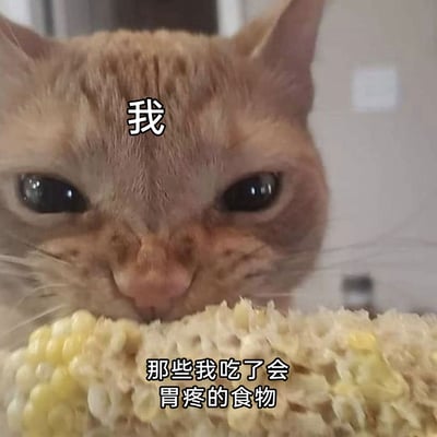 这是一张趣味十足的文字加注类表情包，图中一只眉头微皱、表情带着委屈又倔强的橘猫，正低头啃食一根被啃得所剩无几的玉米棒。图中通过文字将橘猫标注为“我”，玉米棒标注为“那些我吃了会胃疼的食物”，用拟人化的方式，生动又搞笑地还原了很多人明明知道某些食物吃了会身体不适，却依旧管不住嘴要去吃的真实日常，很容易引发网友的共鸣。